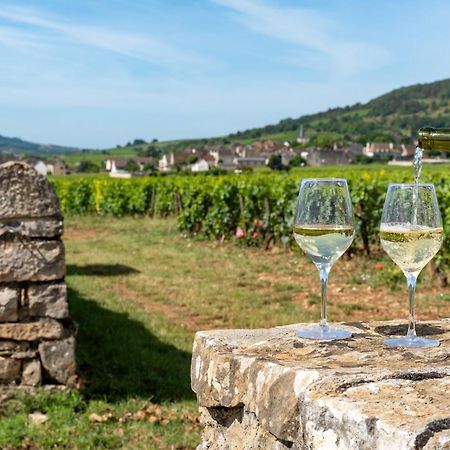 Charmante Maison Climatisee Avec Son Jardin A 10 Minutes De Dijon Marsannay-la-Côte Εξωτερικό φωτογραφία