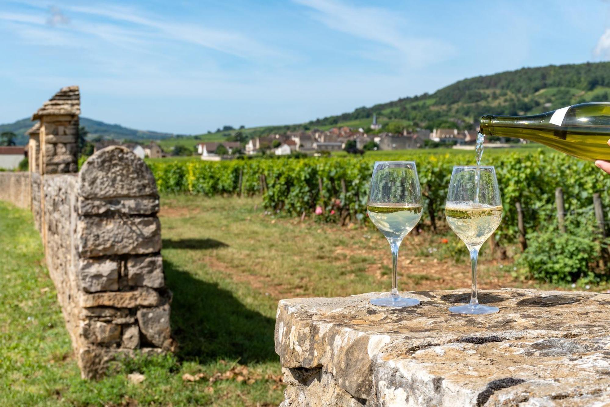Charmante Maison Climatisee Avec Son Jardin A 10 Minutes De Dijon Marsannay-la-Côte Εξωτερικό φωτογραφία